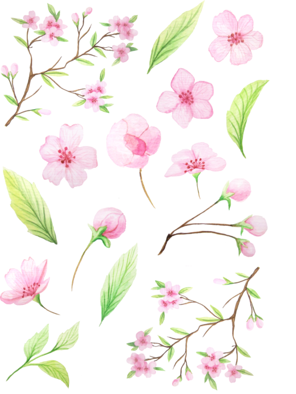 Fantastic Florals Cherry Blossom Sticker Sheet - Craft Stickers for Journaling, Pink Florals, Clear PET Sheets